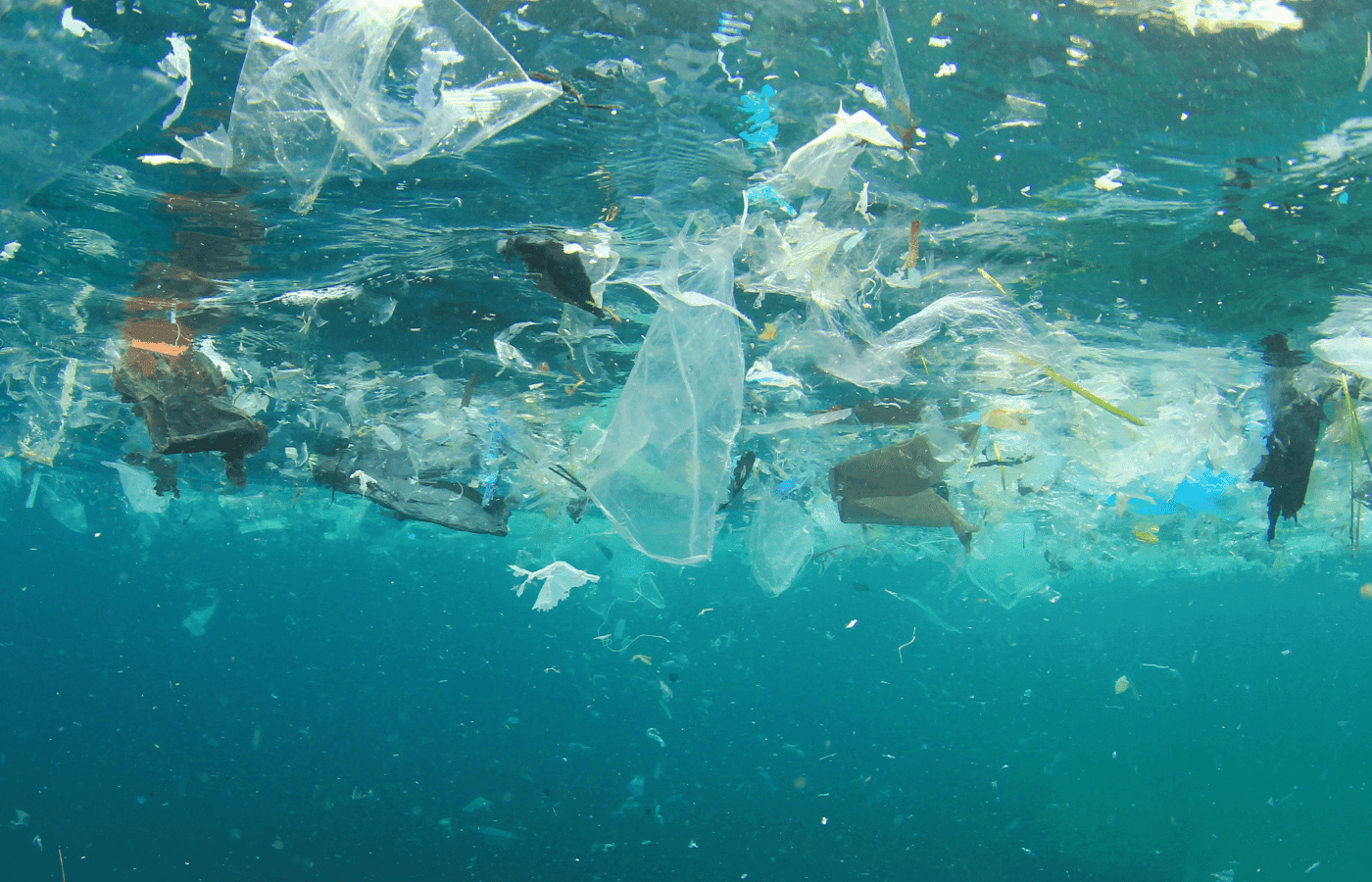 Floating vs. seabed plastic: which is worse?