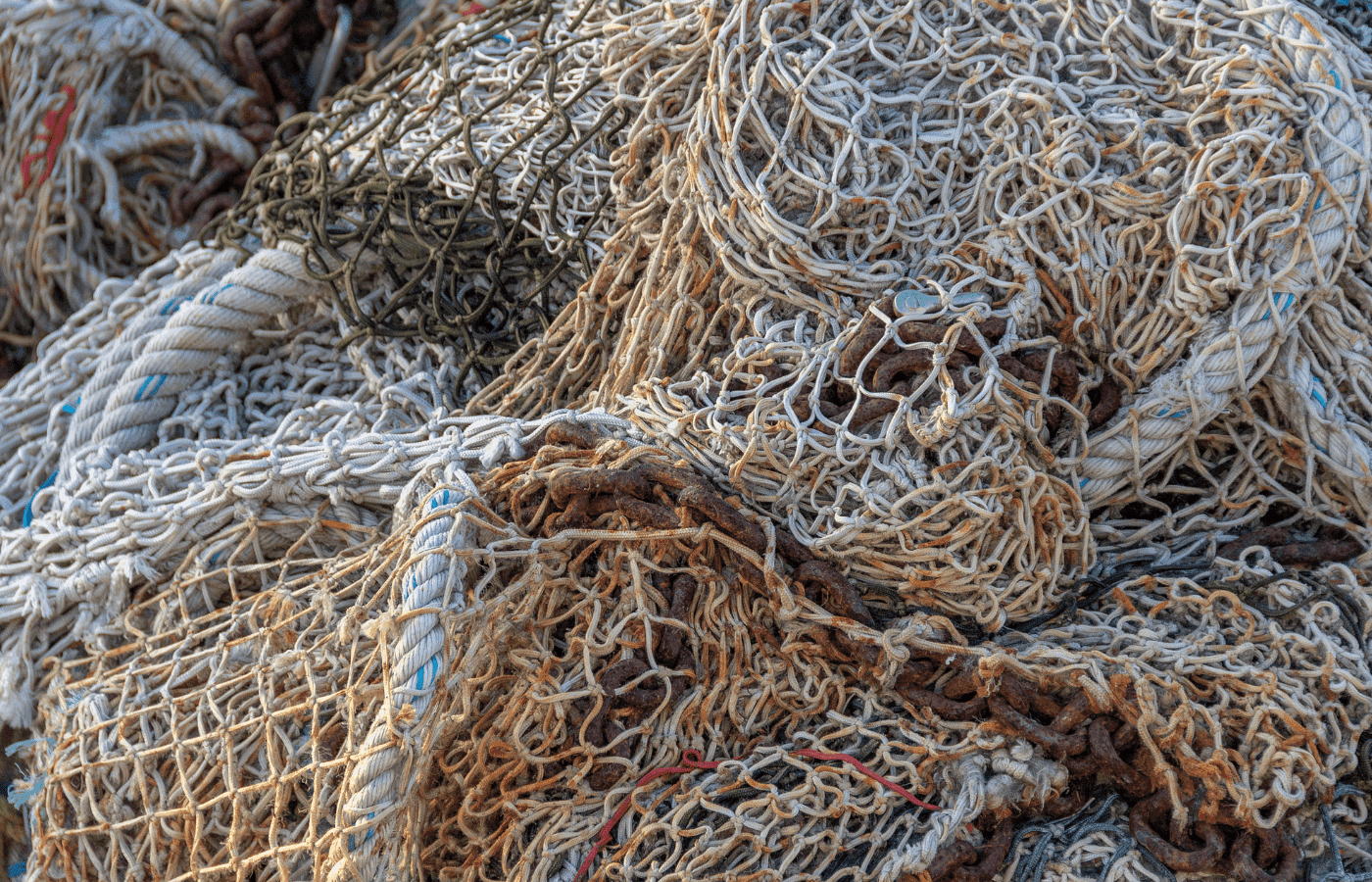 Why is ghost gear choking the Ocean?
